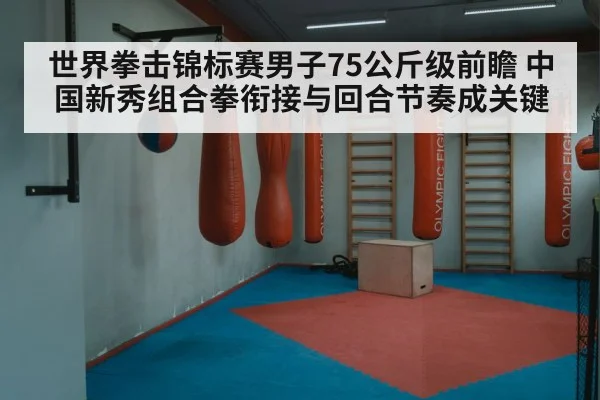 世界拳击锦标赛男子75公斤级前瞻 中国新秀组合拳衔接与回合节奏成关键